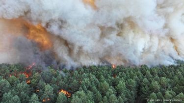 This handout photograph taken and released on July 12, 2026 by the SDIS 77 fire department shows a fire raging in the Fontainebleau Forest. The fire that has been raging in the Fontainebleau forest, in the south of the Paris region, is of 