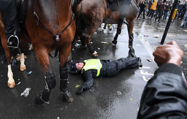 Een foto van een engelse politieagent liggend op de straat naast het paard waar ze van af is gevallen