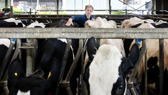 Twee derde van de Nederlanders heeft geen vertrouwen in de stikstofplannen: 'Zo heeft het totaal geen zin'