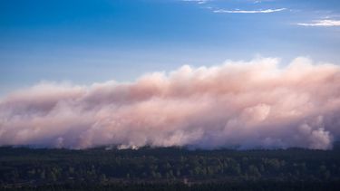 Duitse bosbrand mogelijk aangestoken door pyromaan