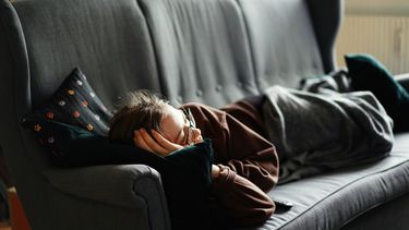 neurowetenschapper dutjes slapen brein