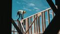 Bouw, werken, baan, banen, werk