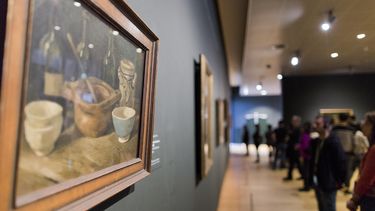 Sprinkhaan gevonden in schilderij Vincent Van Gogh