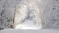Sneeuw in Alaska. Foto: Marianke P